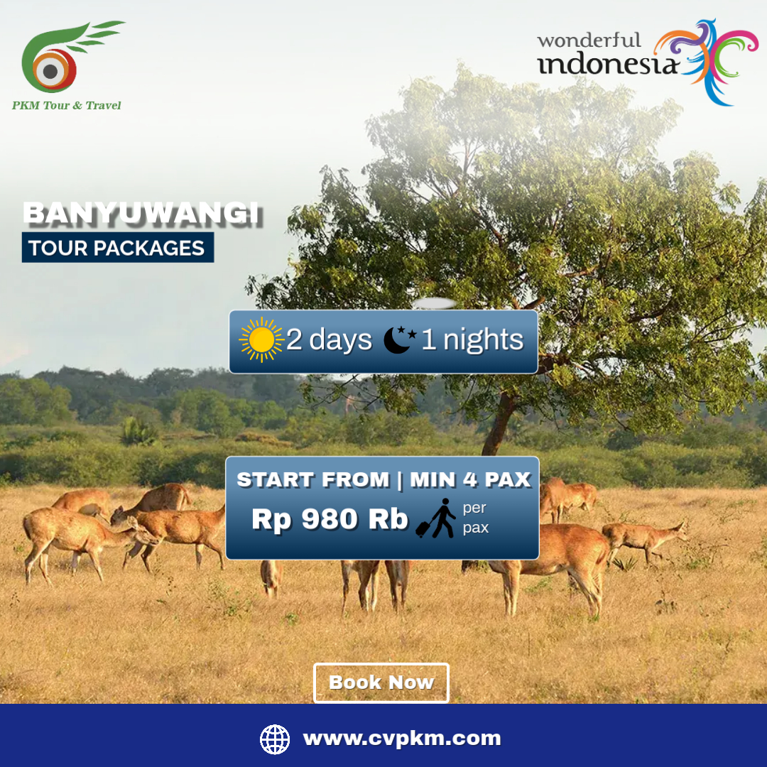 Gambar 2D1N BANYUWANGI